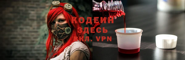 молекула духа Новозыбков