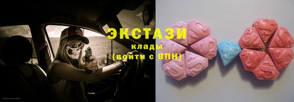 молекула духа Новозыбков