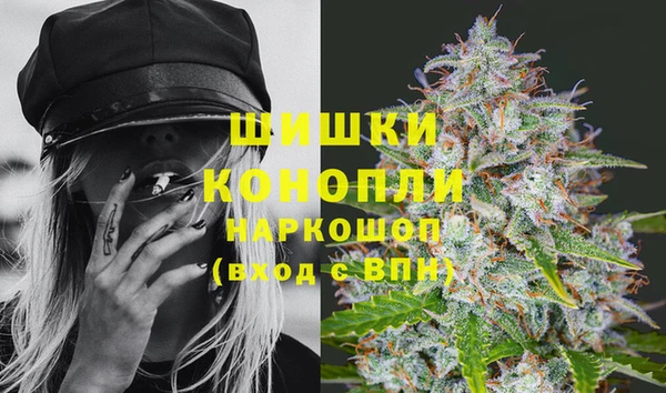 молекула духа Новозыбков