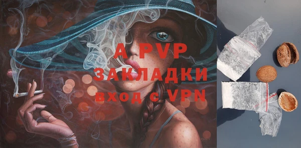молекула духа Новозыбков