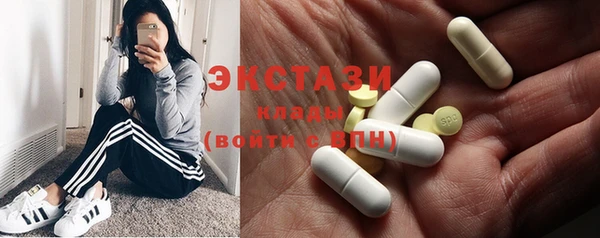 молекула духа Новозыбков