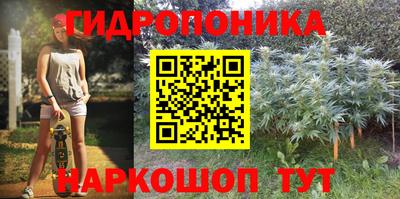 скорость Бийск