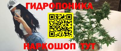 каннабис Берёзовский