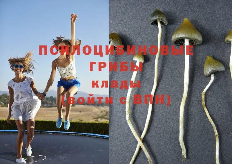 Галлюциногенные грибы Magic Shrooms  Кушва 