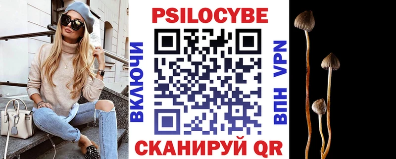 Галлюциногенные грибы Psilocybe Кушва