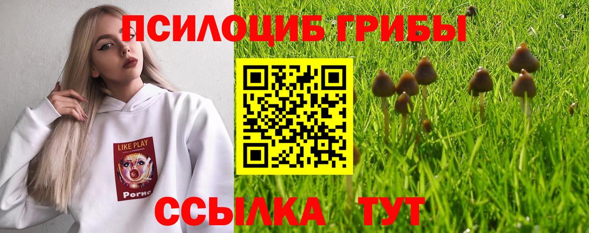 Псилоцибиновые грибы GOLDEN TEACHER Кушва